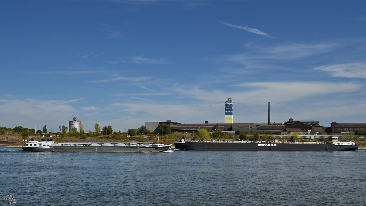 Die Schiffe CONAN (ENI: 02317499) und SCHLOSS MAINAU (ENI: 4802690) begegnen sich auf dem Rhein. (Duisburg, August 2022)