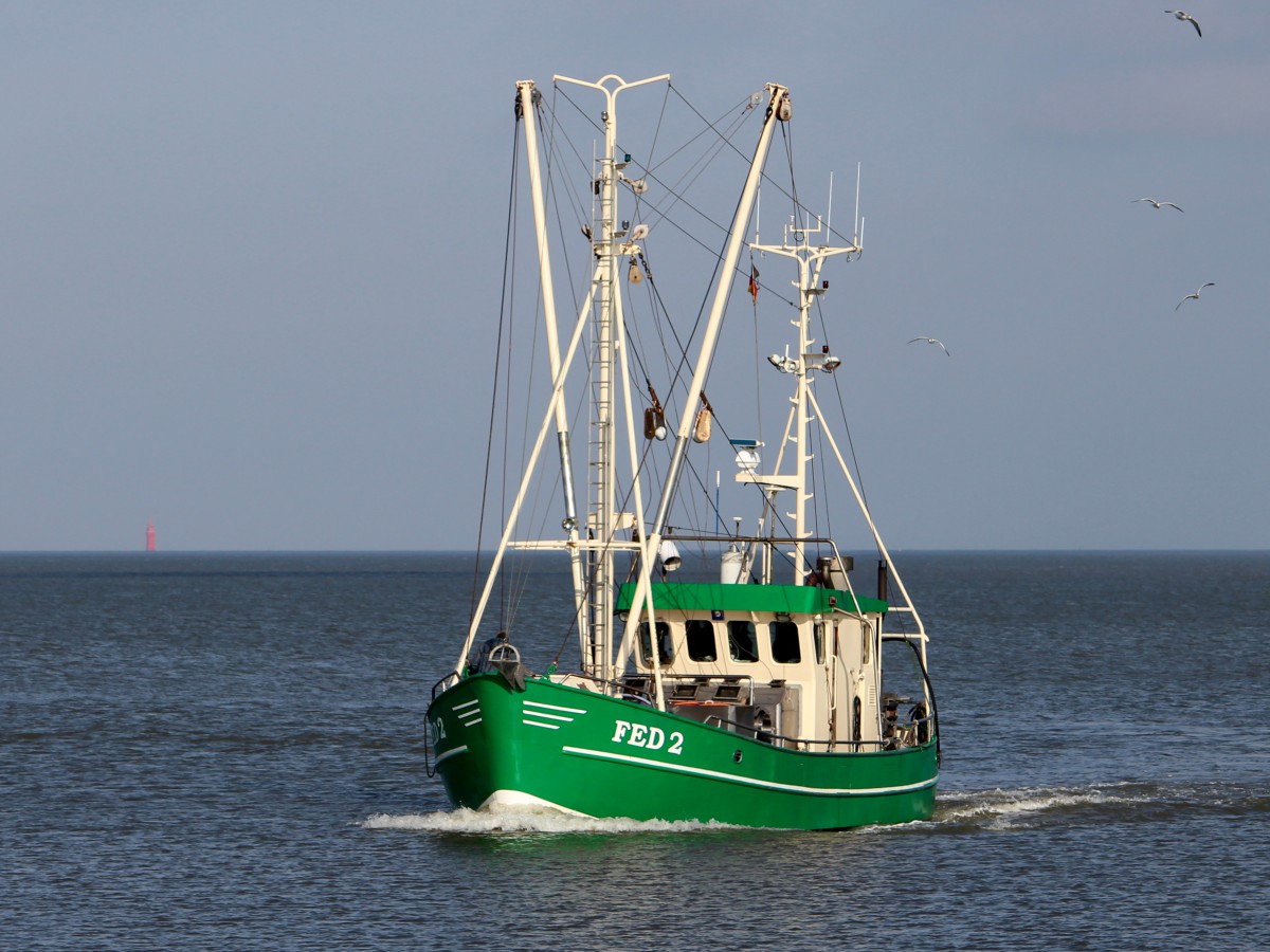 Die Seestern am 14.02.2014 bei der Heimfahrt nach Fedderwardersiel nach einem Werftaufenthalt.