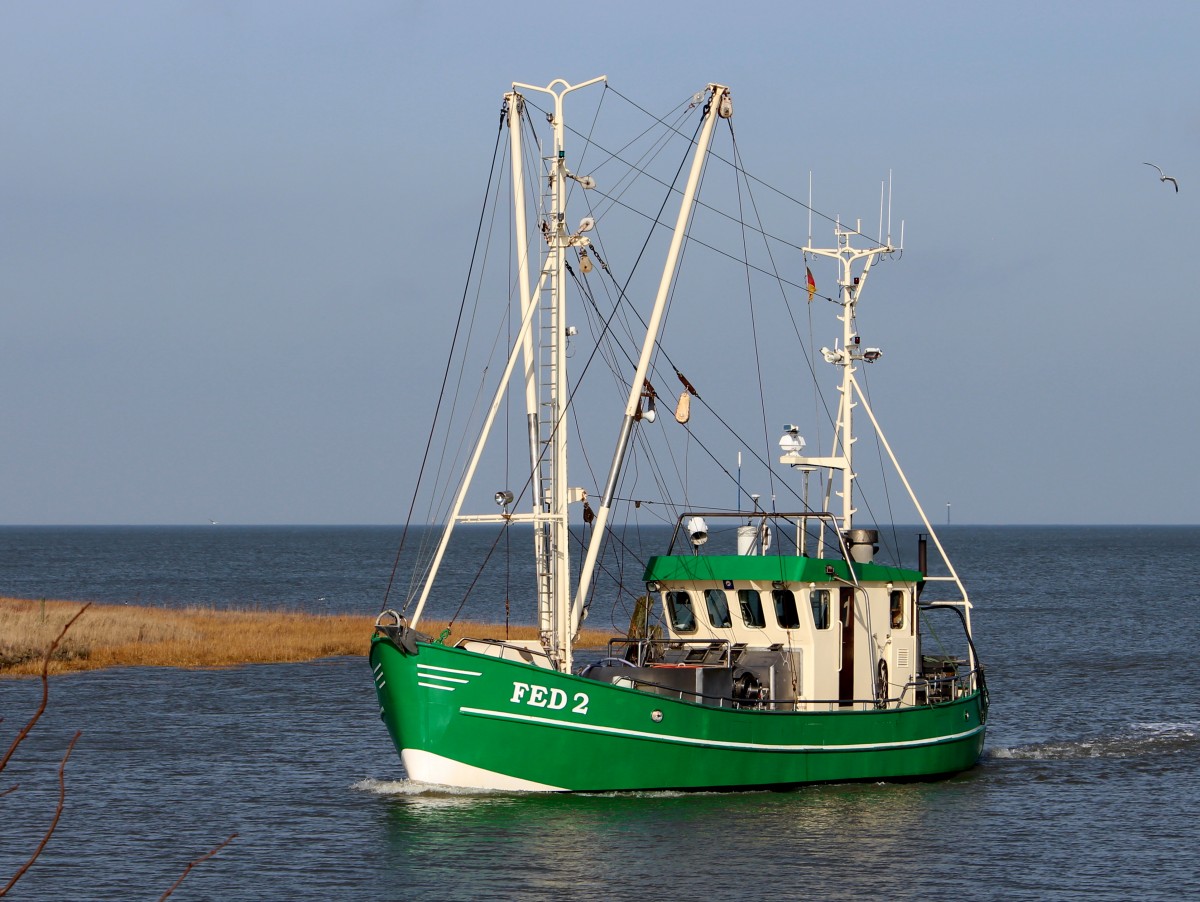 Die Seestern am 14.02.2014 bei der Einfahrt in den Hafen von Fedderwardersiel. Sie ist 14m lang und 5m breit.