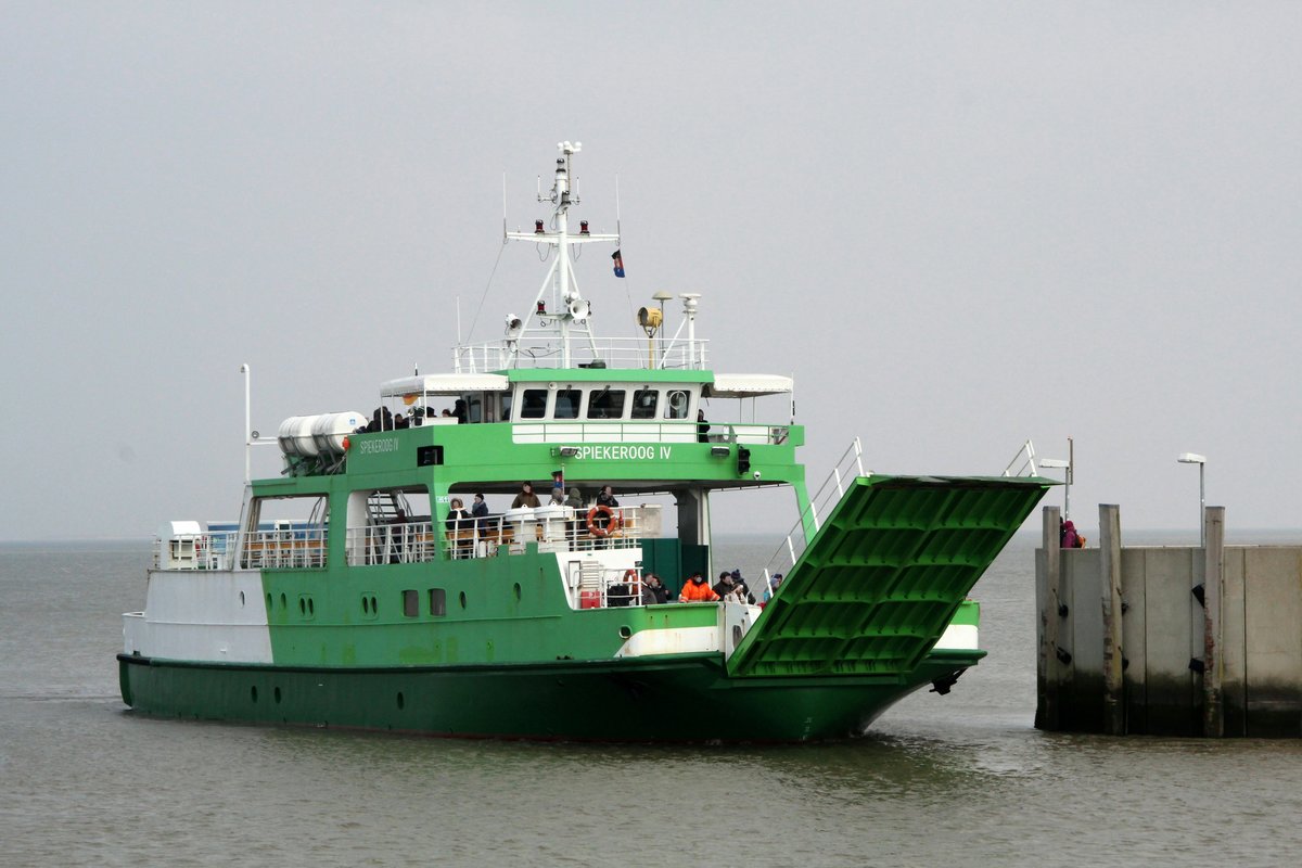 Die Spiekeroog IV (45,50 x 10,40m , Tg. 1,55m) kam am 26.03.2016 von See und lief in den Hafen von Neuharlingersiel ein. In diesem Bereich muß das Schiff stark nach Backbord drehen um seinen Landungsplatz zu erreichen.