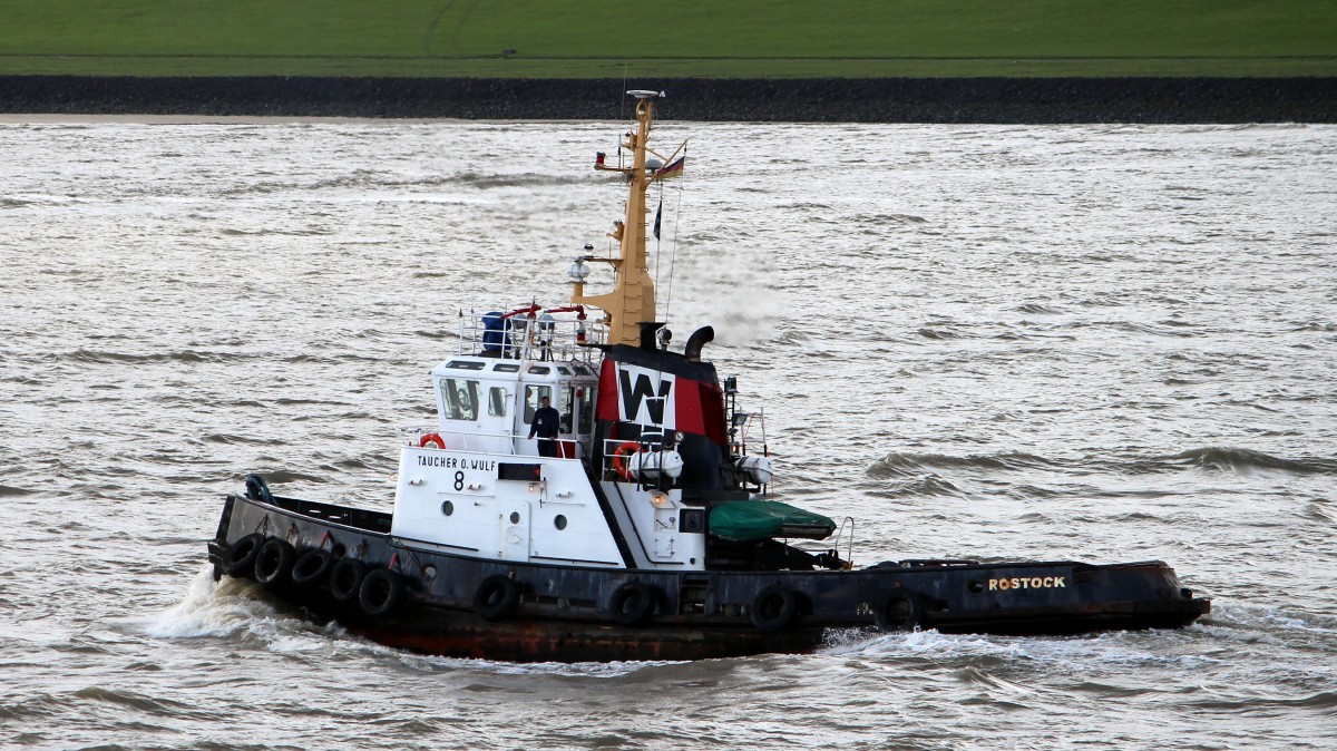 Die Taucher O.Wulf 8 am 23.05.2013 auf der Elbe.