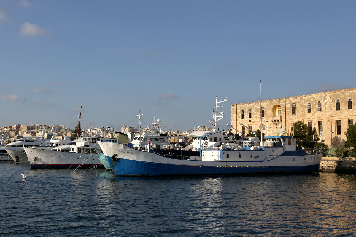 die von einer Tauchschule betriebene Princess Duda (Baujahr 1962), Valletta, Malta, 28.12.2015