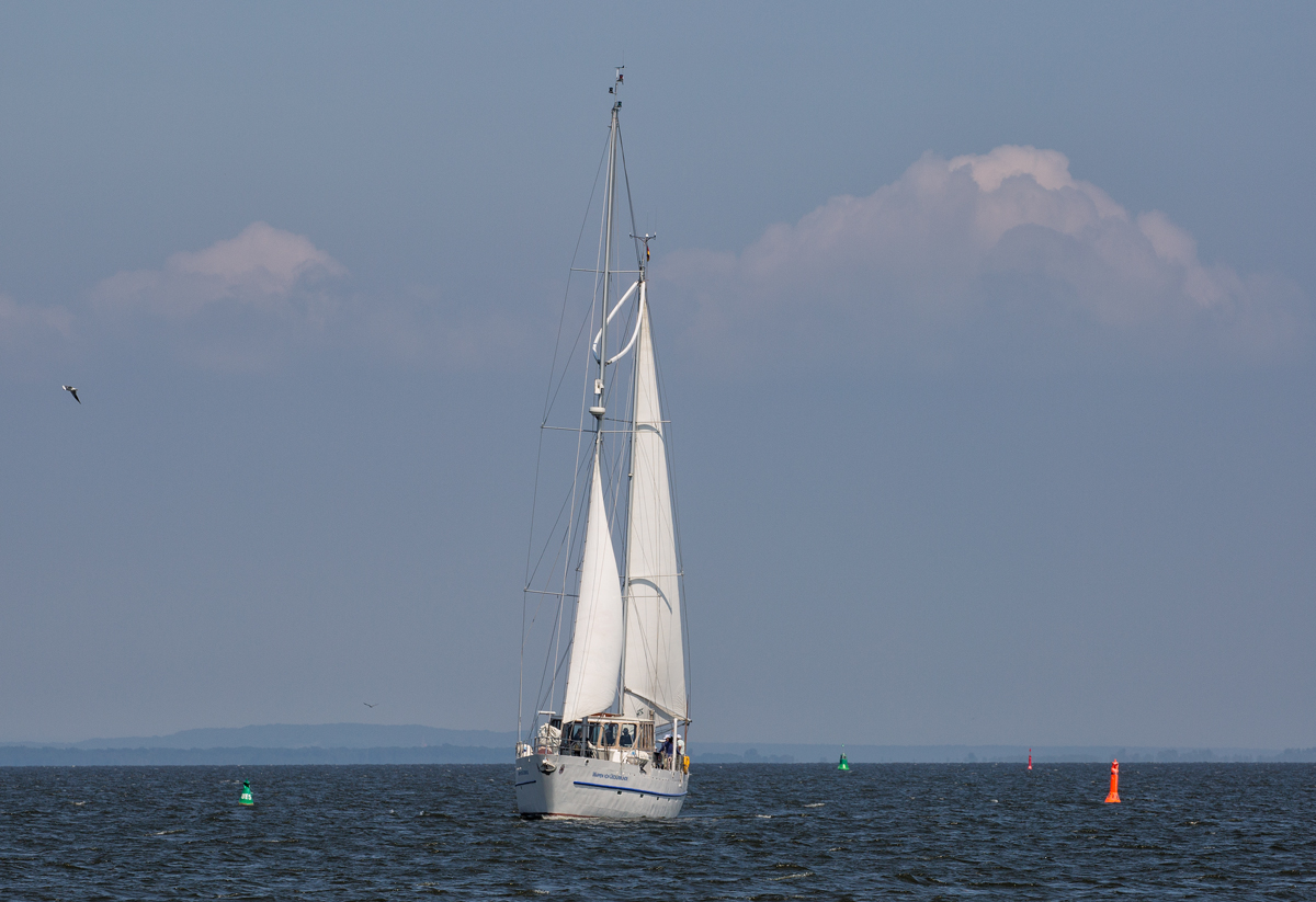 Die  Wappen von Ueckermünde  auf dem Stettiner Haff. - 25.05.2016