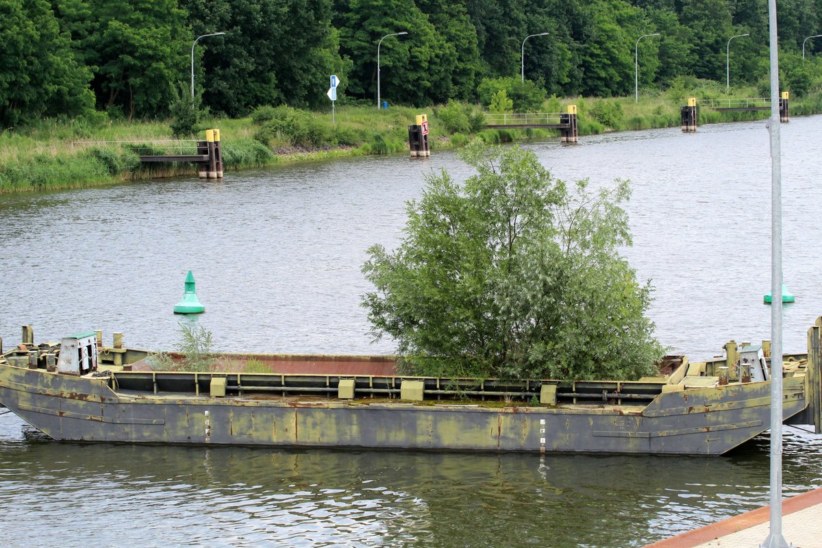 Dieser Prahm steht im Unterwasser der Schleuse Wusterwitz vor der neu gebauten Kammer. Die Natur - wie man sieht - nimmt von allem Besitz. Hoffentlich geht das gute Stück nicht unter bevor die neue Kammer in Betrieb genommen wird. 28.06.2017