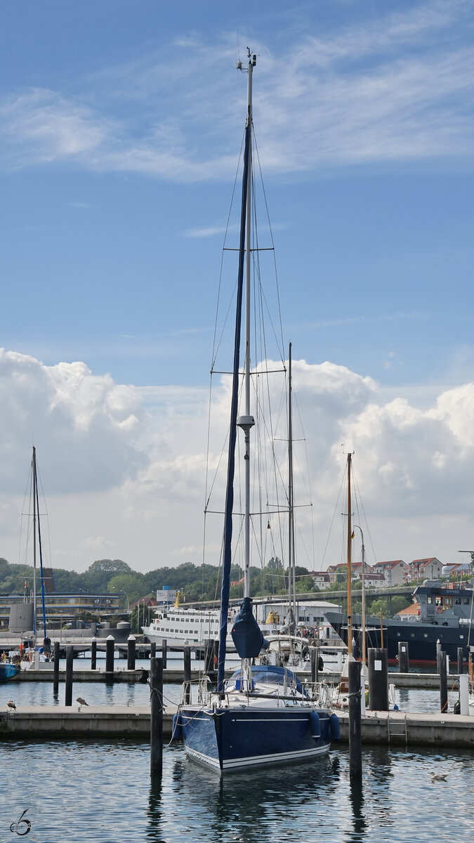 Dieses Segelboot hatte Mitte August 2023 im Sassnitzer Hafen angelegt.