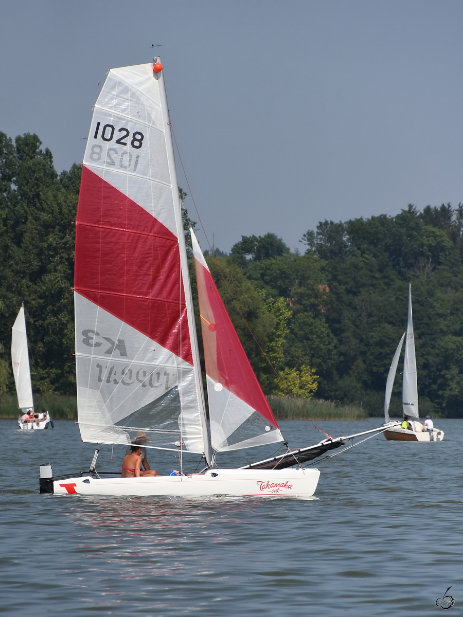 Dieses Segelboot war Anfang August 2020 auf dem See in Waging unterwegs.