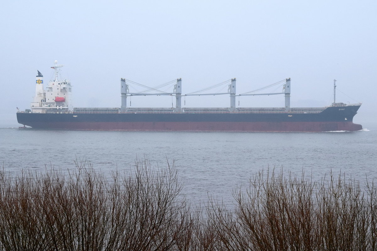 DINO , Bulk Carrier , IMO 9392078 , Baujahr 2009 , 180 × 28.2m , 10.03.2018 Grünendeich
