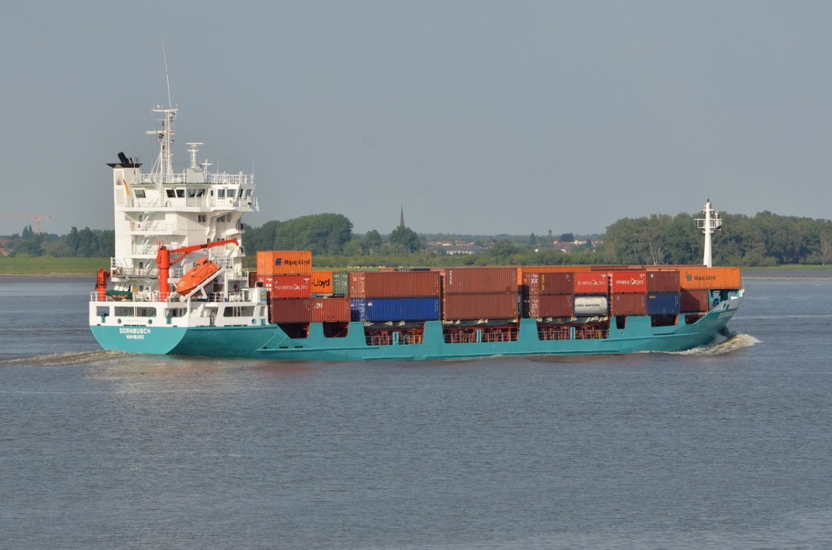 DORNBUSCH ,  Feederschiff , IMO  9126211 , Baujahr 1996 , Lühe 12.06.2015