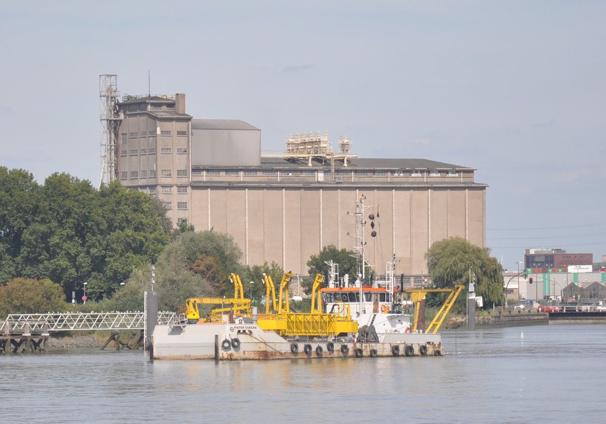 Dredger Pieter Coecke aufgenommen 07.08.2017 am Schelde in Antwerpen 