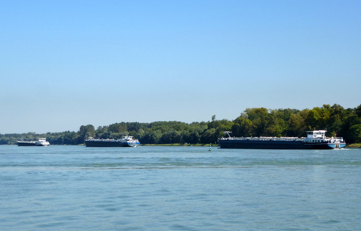 dreimal  Leergut  flußabwärts, Tanker auf dem Rhein bei Karlsruhe, Sept.2017