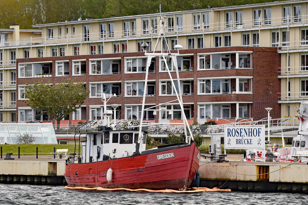 DRESDEN am 16.5.2020 bei der Rosenhof-Brücke in Lübeck-Travemünde. Die DRESDEN, ein ehemaliger Fischtrawler, ist ein Traditionsschiff mit der SSR Nummer 73031 und der Funkkennung Y4OE und wurde 1949 in der Boddenwerft Damgarten gebaut. Länge über alles 17,60 m und die Breite beträgt 5 m. Tiefgang 2,4 m. Motorisiert ist das Schiff mit einem 6 Zylinder Dieselmotor der Firma SKL mit 200 PS (147kW). Baujahr 1989