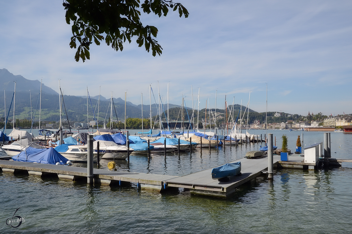 Ein Bootssteg am Vierwaldstättersee (September 2011)