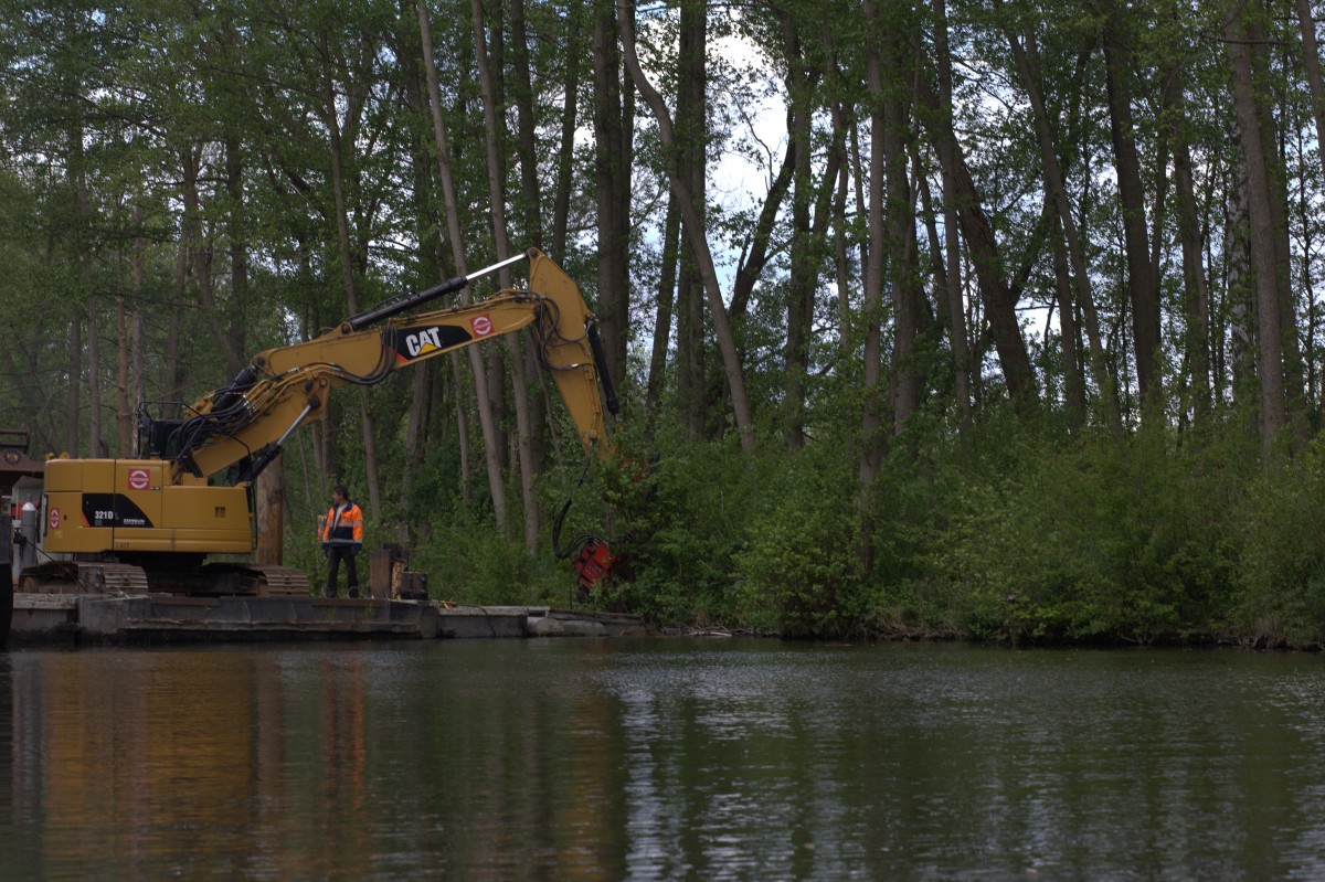 Ein Buhnesetzer im Einsatz auf der Steinhavel , Nähe Klein Quassow. 19.05.2015
11:59 Uhr.