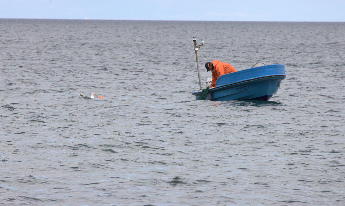 Ein Küstenfischer  bei der Netzkontrolle vor der Schaabe (Insel Rügen)23.08.14:55Uhr
Fischereikennzeichen: BRE 56. (?).