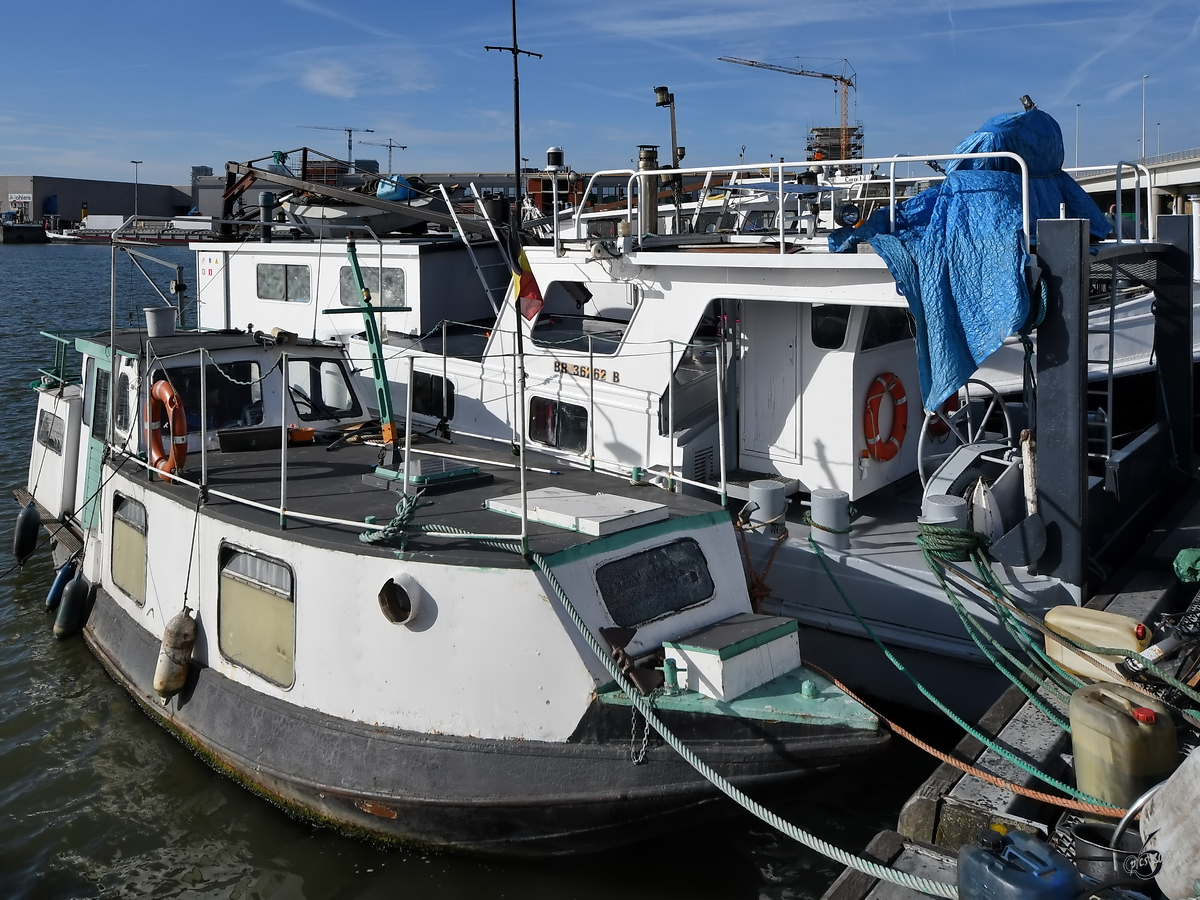 Ein nicht näher bezeichnetes Motorboot Ende Juli 2018 im Straatsburgdok Antwerpen.