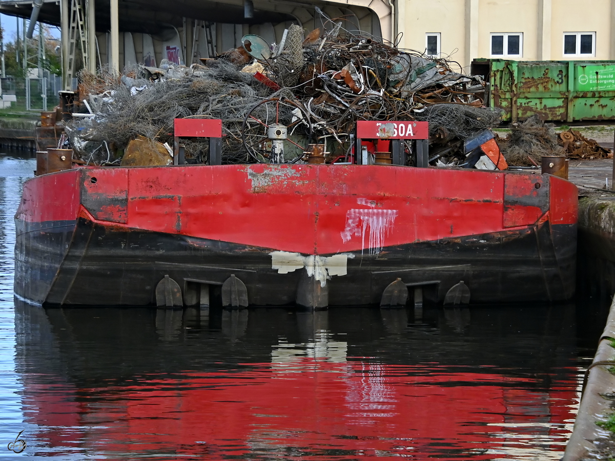 Ein Ponton (3160A) voller Schrott konnte man im Hafen von Anklam entdecken. (November 2020)