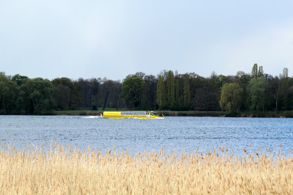 Ein Potsdamer Wassertaxi am 19.04.2017 im Jungfernsee auf Talfahrt. Im Hintergrund Teile vom Potsdamer Neuen Garten. In diesem befindet sich auch das Schloß Cecilienhof. Aufgenommen wurde das Foto an der Sacrower Kirche. 