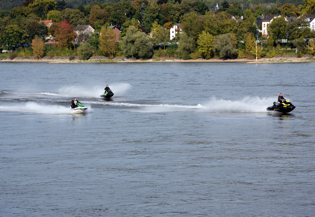 Eine  Horde  Jetski`s rast über den Rhein bei Plittersdorf - 12.10.2014