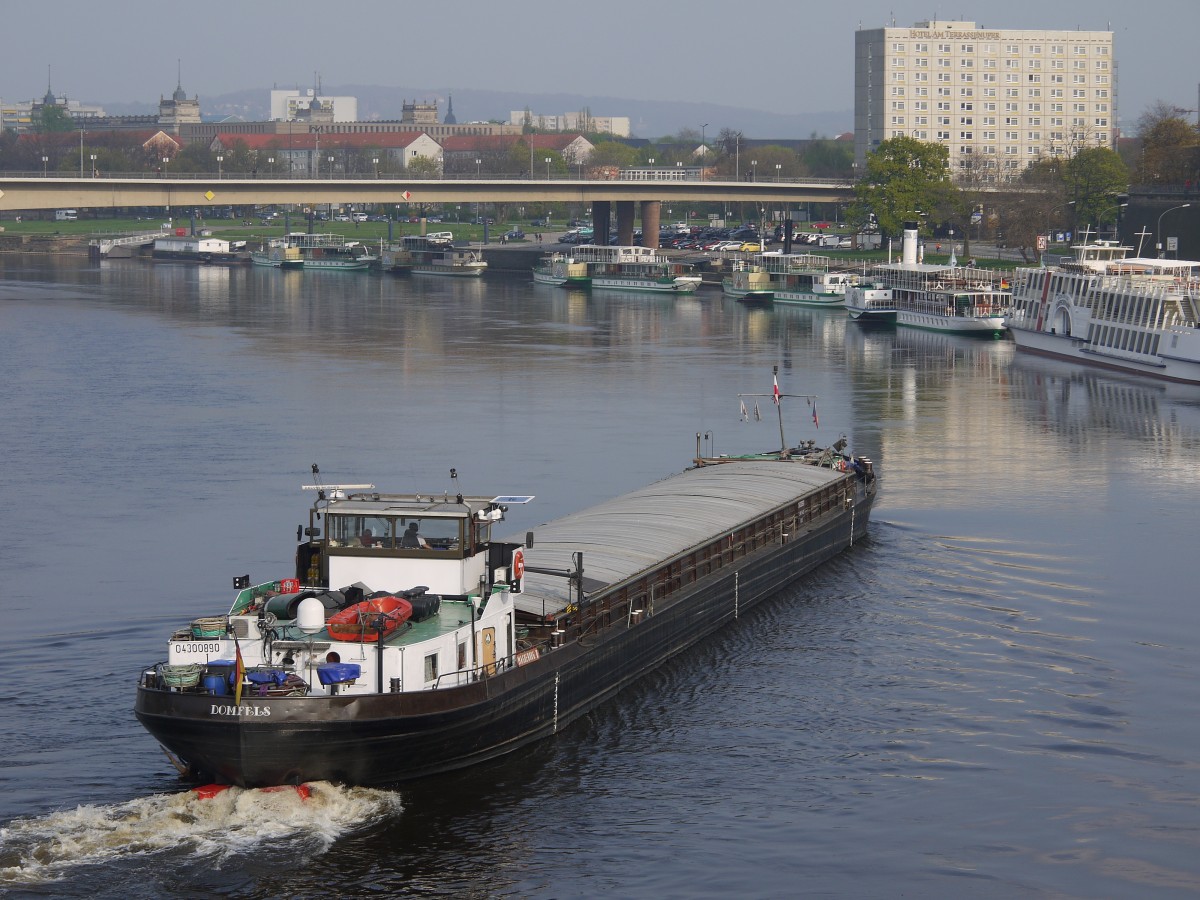 Eines der wenigen Gütermotorschiffe ohne Autokran: die DOMFELS, Magdeburg, Baujahr 1957, (ex Karakal, ex Delme), ENI 04300890 die Elbe zu Berg zwischen Augustusbrücke und Carolabrücke; Dresden, 06.04.2014