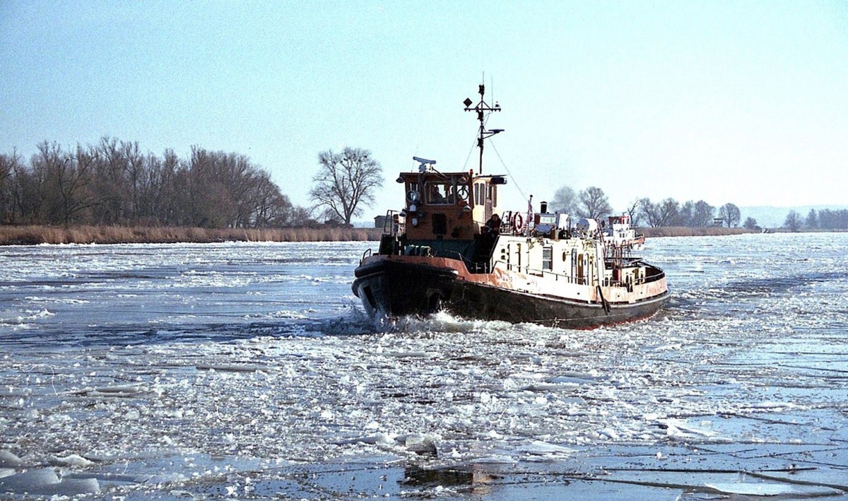 Eisbrecher Dzik  aus Stettin beim zerkleinern der Eisschollen auf der Oder bei Ognica.Foto 09.01.2016