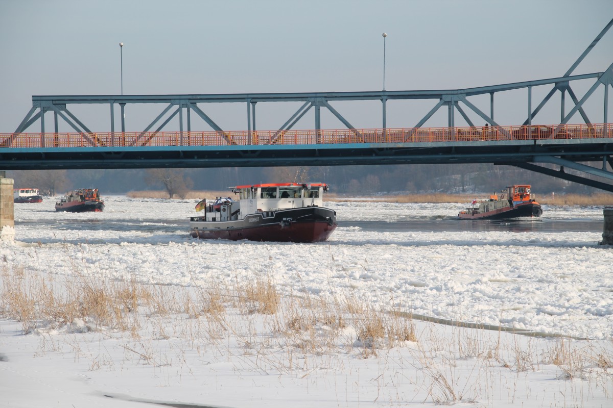 Eisbrecherflotte durchbricht das Eis der Oder am 1.2.2014 an der Straßenbrücke bei Schwedt.