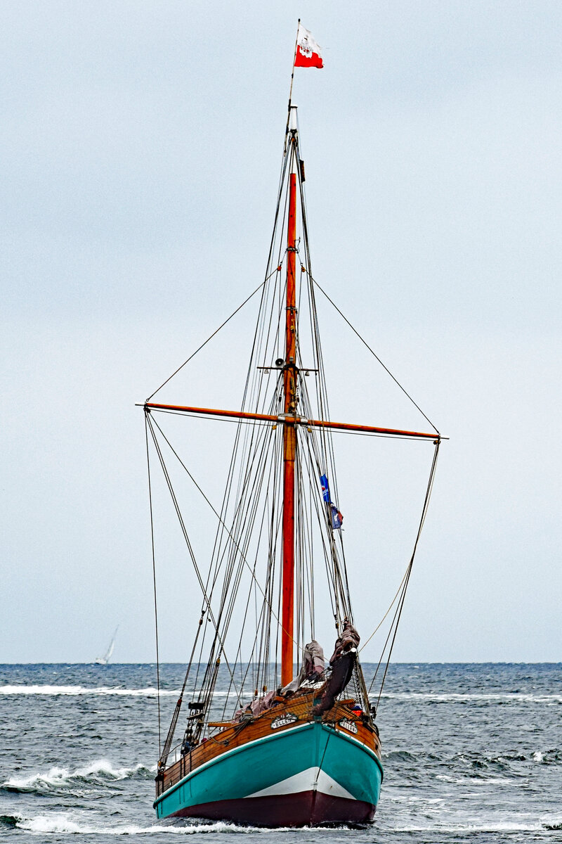 ELLEN (19 Meter Länge) am 25.08.2021 in der Ostsee vor Lübeck-Travemünde.
1938 als Kutter NILS HOLGERSSON für Fischereizwecke gebaut, von Beginn an motorisiert, gefischt wurde jedoch unter Segeln. 
1938 - 1973 in Großenbrode registriert, 1958 neue Maschine eingebaut, wechselte bis 1979 oft den Besitzer. 
1979 und 1993 Umbau, Erweiterung um 3 Passagierkabinen, Erneuerung und Vergrößerung der Segel.
