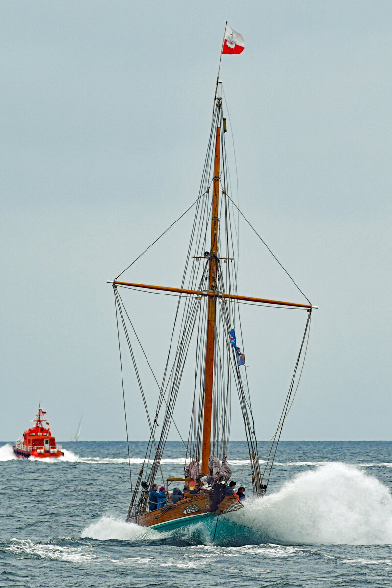 ELLEN (19 Meter Länge) am 25.08.2021 in der Ostsee vor Lübeck-Travemünde.
1938 als Kutter NILS HOLGERSSON für Fischereizwecke gebaut, von Beginn an motorisiert, gefischt wurde jedoch unter Segeln. 
1938 - 1973 in Großenbrode registriert, 1958 neue Maschine eingebaut, wechselte bis 1979 oft den Besitzer. 
1979 und 1993 Umbau, Erweiterung um 3 Passagierkabinen, Erneuerung und Vergrößerung der Segel.