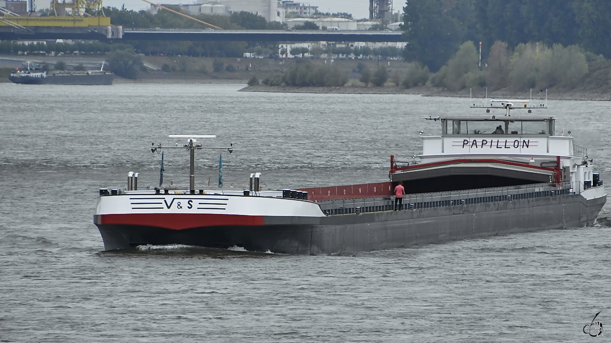 Ende August 2022 war in Duisburg das Gütermotorschiff PAPILLION (ENI: 02300002) zu sehen.