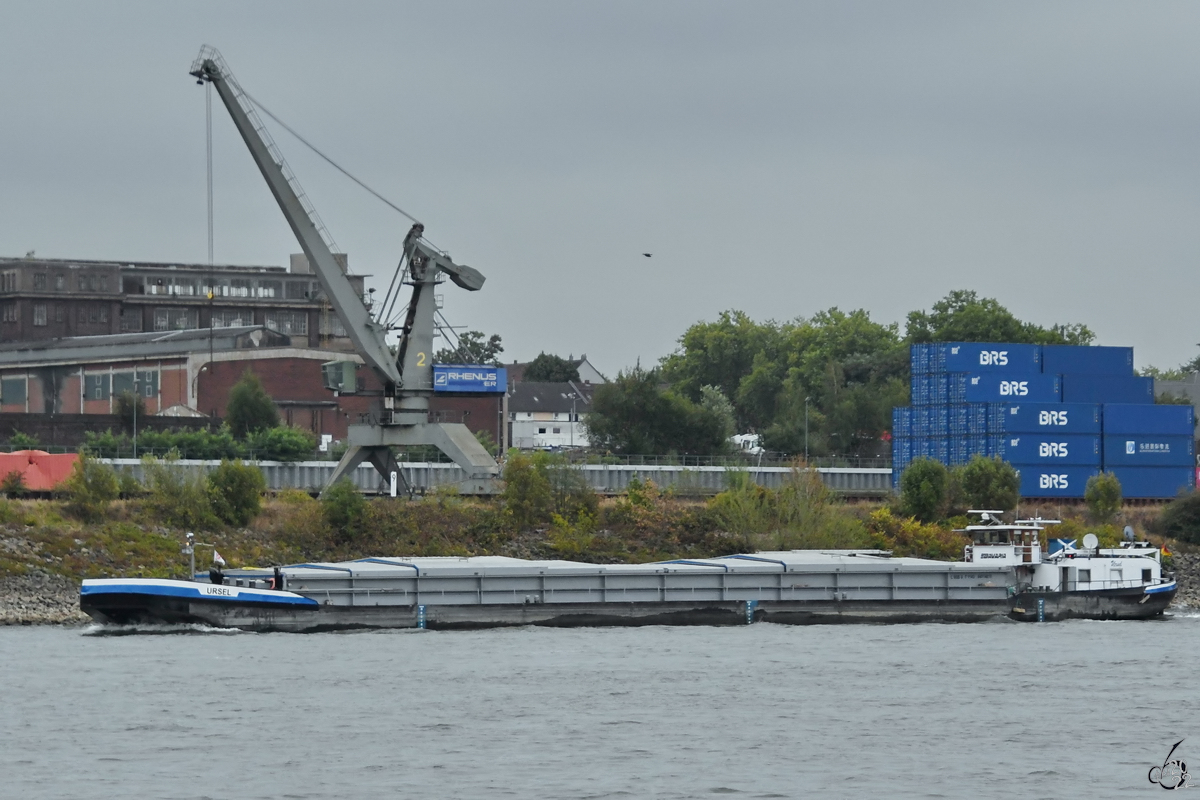 Ende August 2022 war in Duisburg das Gütermotorschiff URSEL (ENI: 04014810) zu sehen.