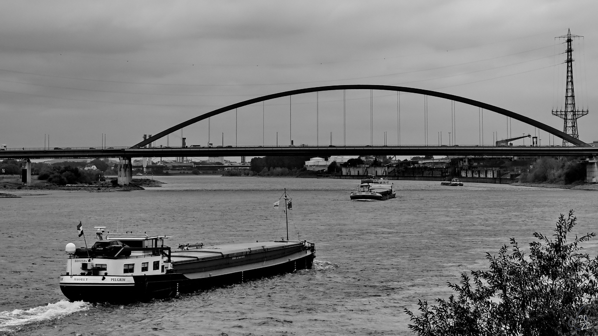 Ende August 2022 war in Duisburg das Gütermotorschiff PELGRIM (ENI: 02326076) zu sehen. 