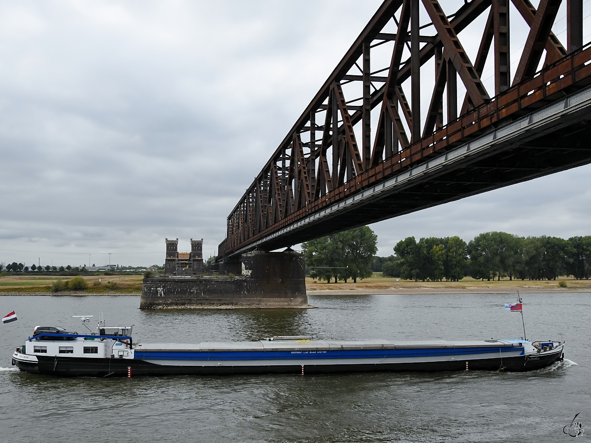 Ende August 2022 war in Duisburg das Gütermotorschiff PELGRIM (ENI: 02326076) zu sehen.
