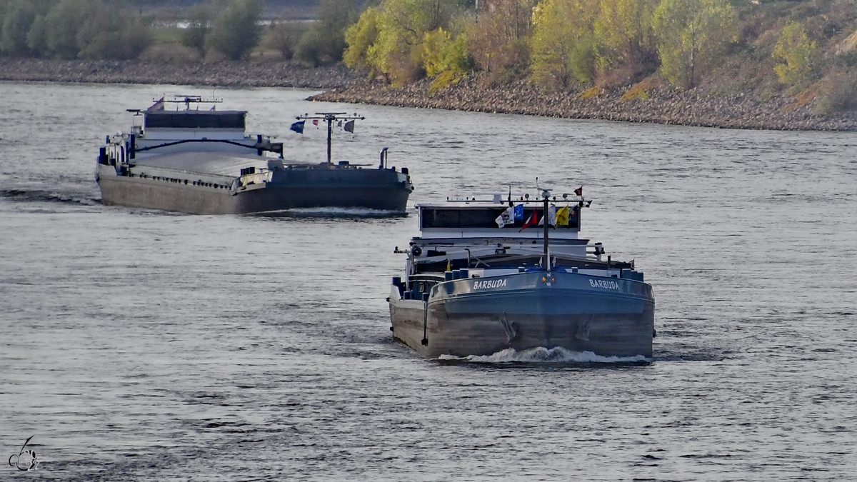 Ende August 2022 war in Duisburg das Gütermotorschiff BARBUDA (ENI: 06004228) zu sehen.