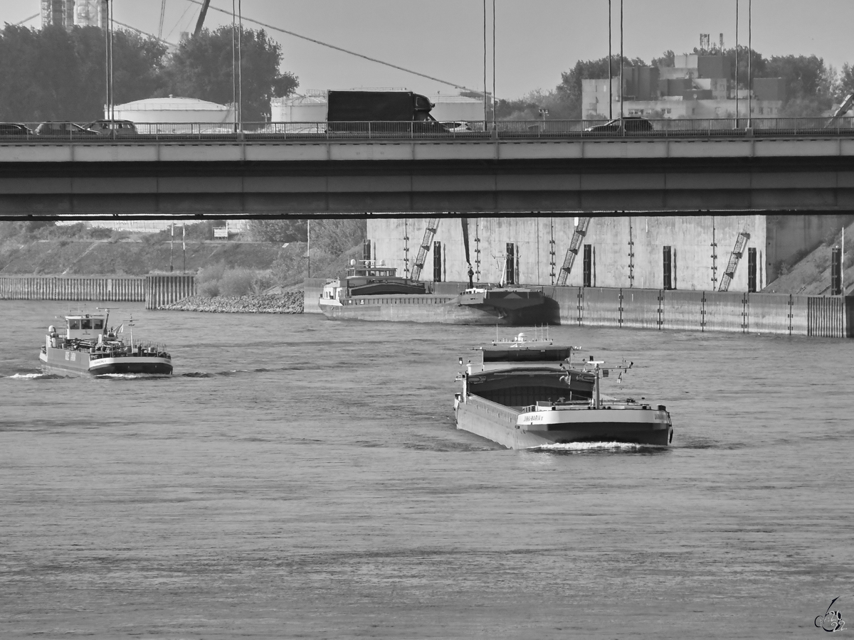 Ende August 2022 war in Duisburg das Gütermotorschiff JANNA-MARIA III (ENI: 02329656) zu sehen. 