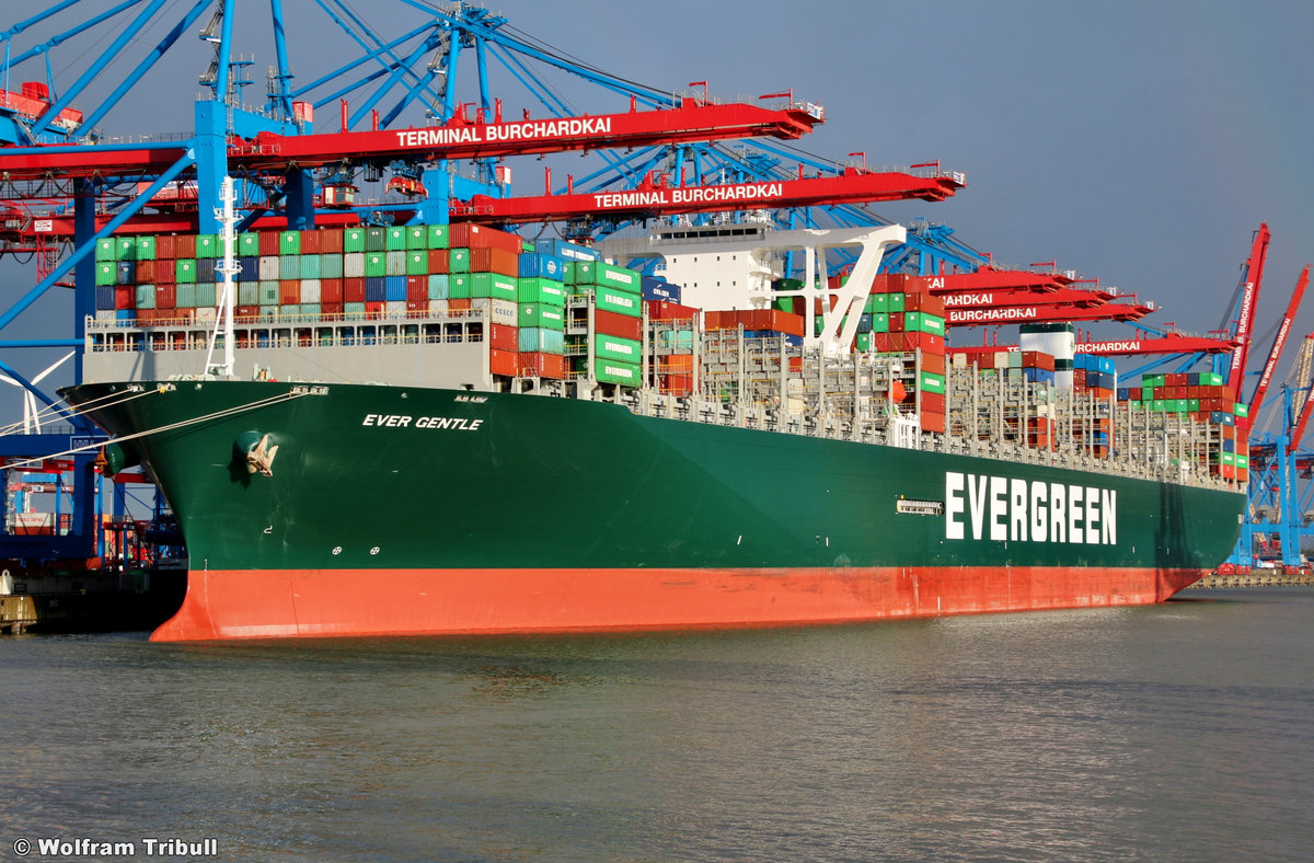 EVER GENTLE aufgenommen am 02. August 2019 bei Hamburg Höhe Container Terminal Burchardkai