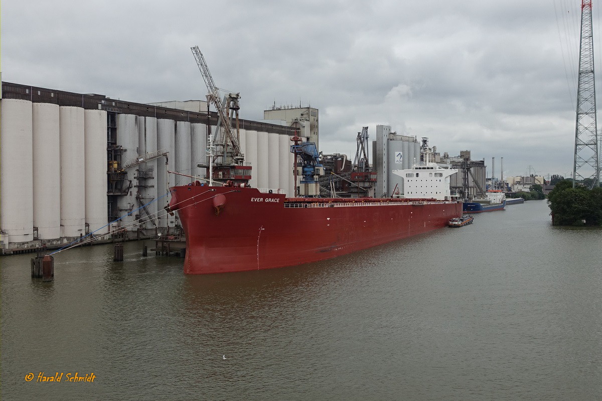 EVER GRACE (IMO 9750309) am 14.7.2019, Hamburg, Köhlbrand, bei der Ölmühle zum Löschen /
Massengutfrachter / BRZ 44.000 / Lüa 229 m, B 32,24 m, Tg 14,62 m / 15 kn / gebaut 2015 /
