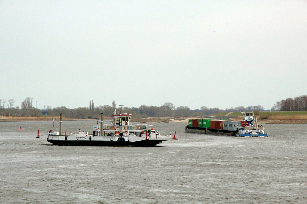 Fähre  HOOPTER MÖWE 2  (04804070 , 52,9 x 11,8m)  am 31.03.2022 auf  ELBE-Talfahrt vom Zollenspieker (gehört zu Hamburg) nach Hoopte (Niedersachsen).