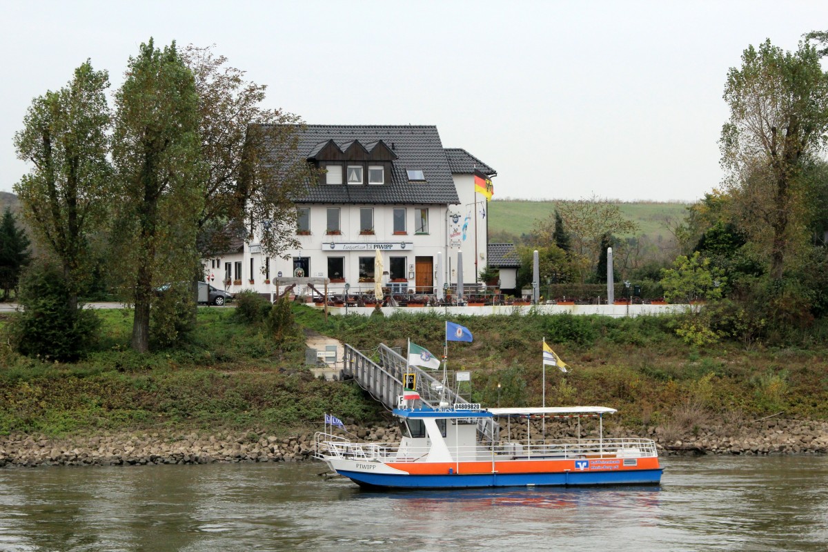 Fähre Piwipp (04809820) am 23.10.2014 vor dem gleichnamigem Lokal auf dem Rhein. 
