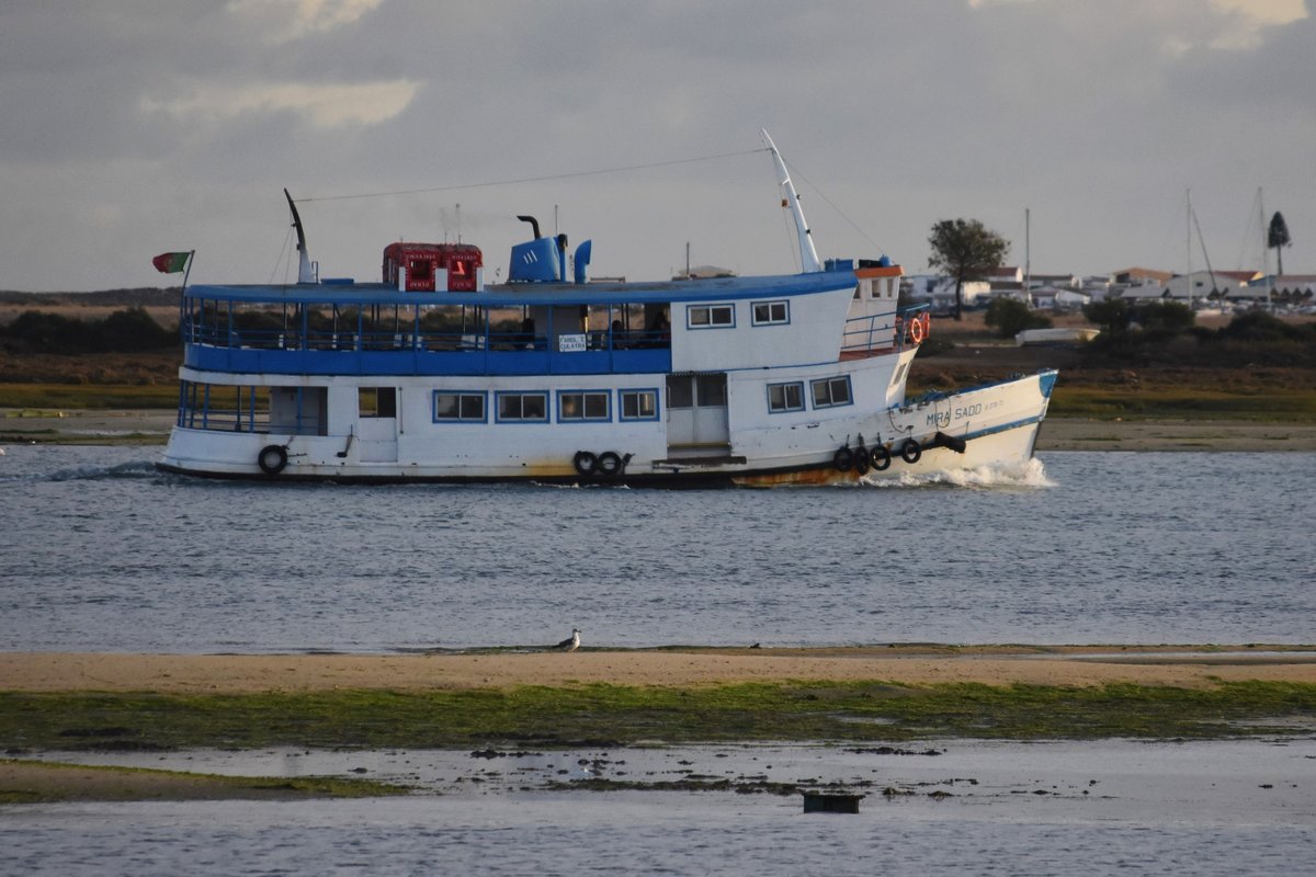 Fährschiff MIRA SADO als letztes Fährschiff des Tages zu den vorgelagerten  Inseln  Farol und Culatra (es sind eigentlich  nur  größere Sandbänke) / gesehen in Olhão (Distrikt Faro/Portugal), 29.01.2019