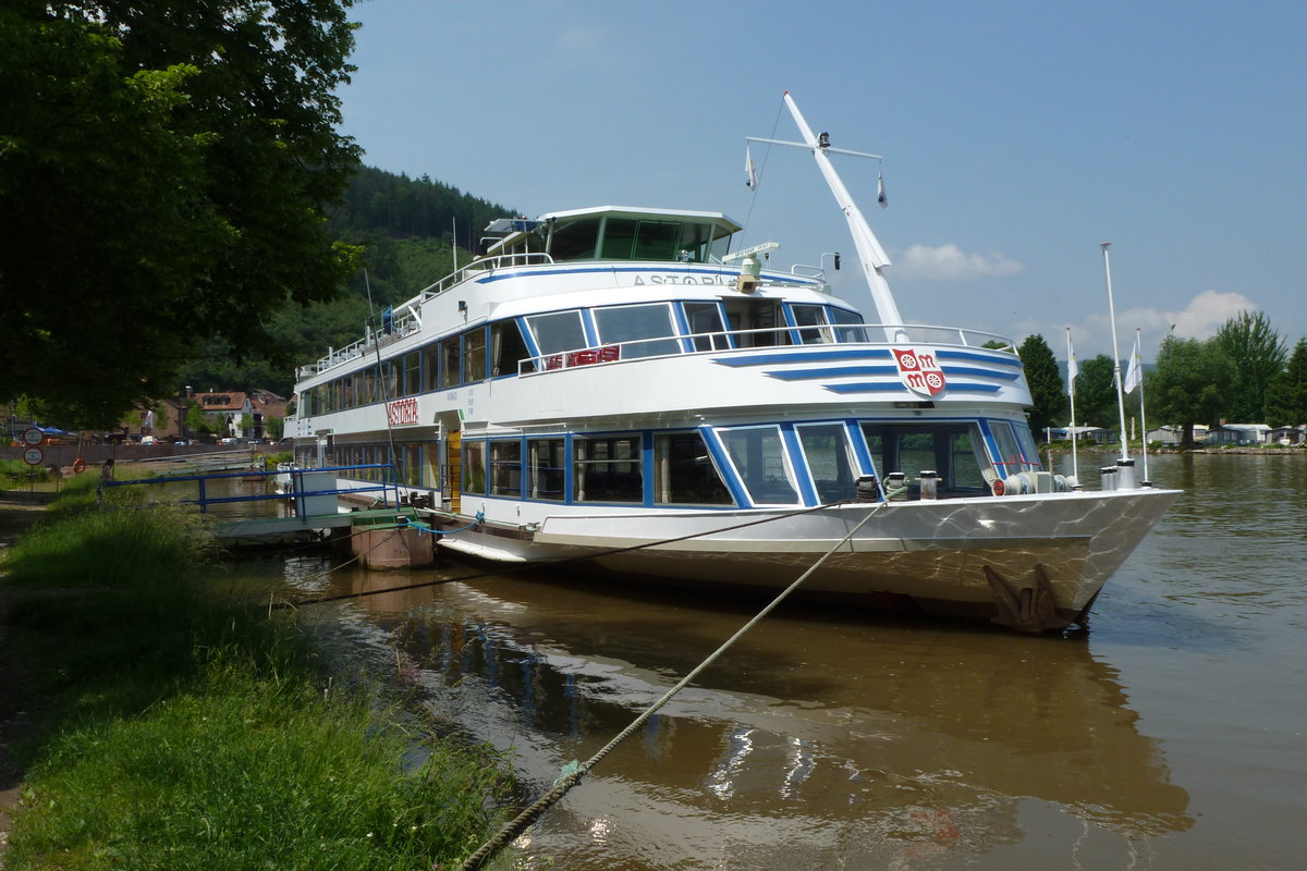 Fahrgastschiff Astoria an seinem Anlegeplatz auf dem Main bei Miltenberg am 05.06.2016