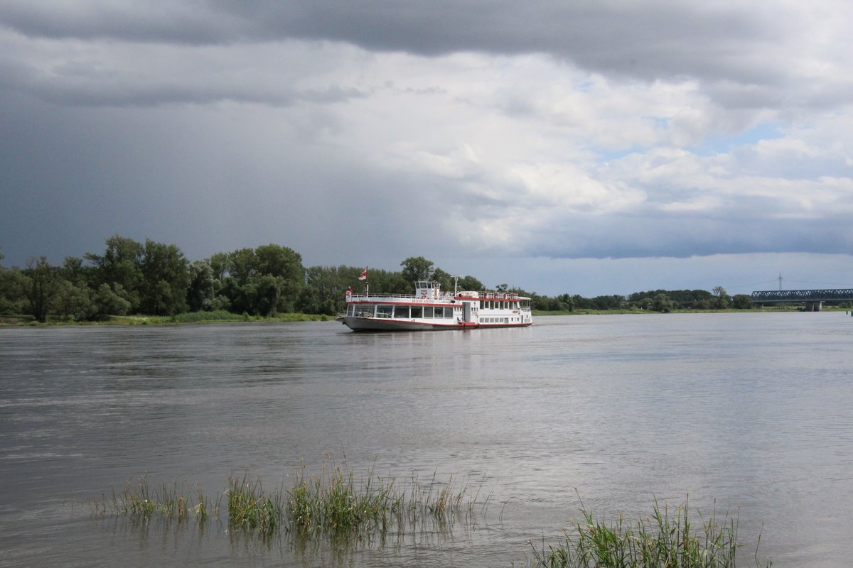 Fahrgastschiff  GROSSER KURFÜRST (05600360 , 51,08 x 8,20m) befuhr am 06.07.2020 die  ELBE  zw. Hämerten und Storkau zu Tal.  