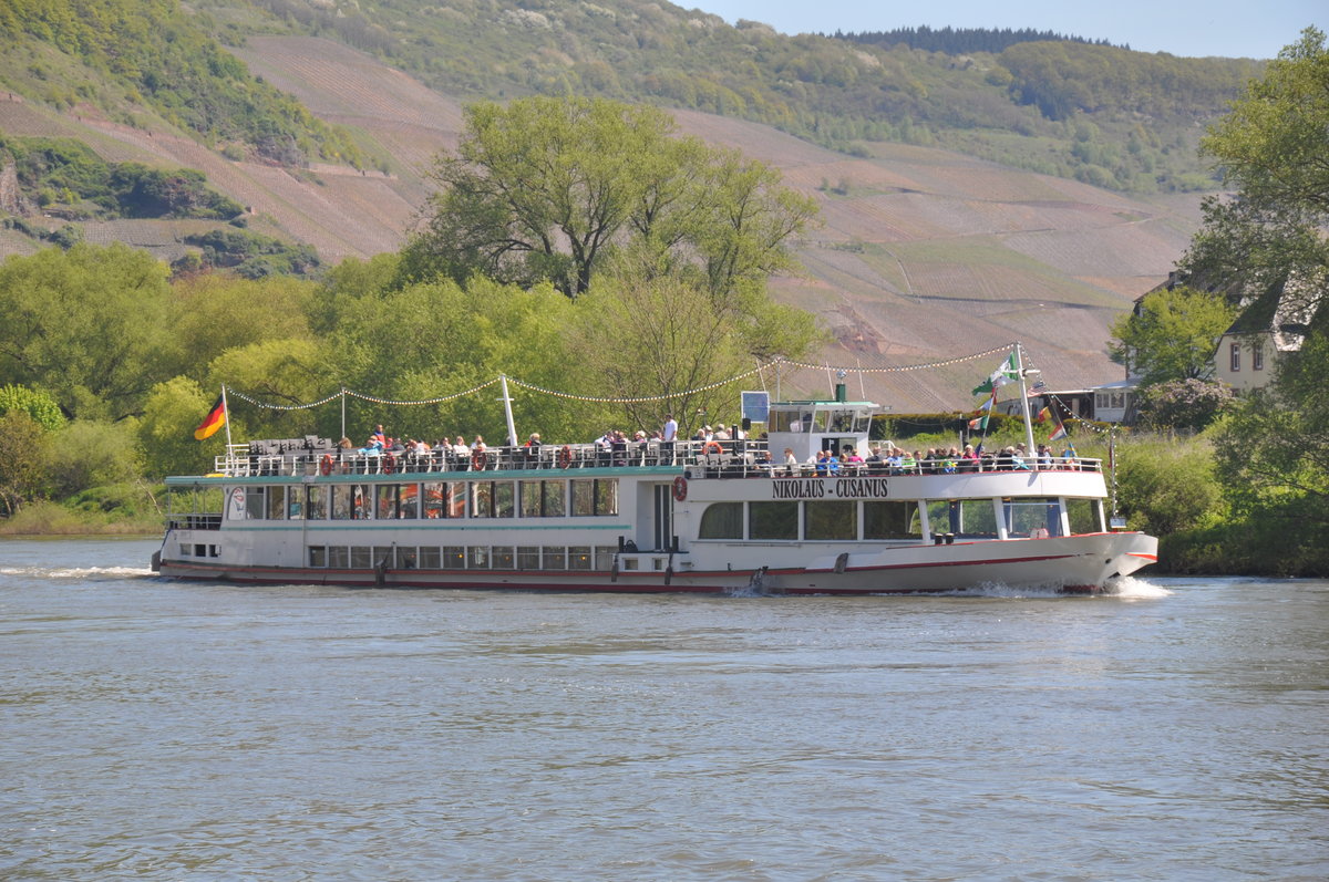 Fahrgastschiff Nikolaus-Cusanus aufgenommen 05.05.2016 an der Mosel in Ürzig