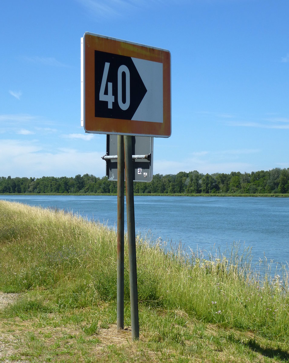 Fahrwasserverengung, am Rhein sdlich von Breisach, Juni 2017