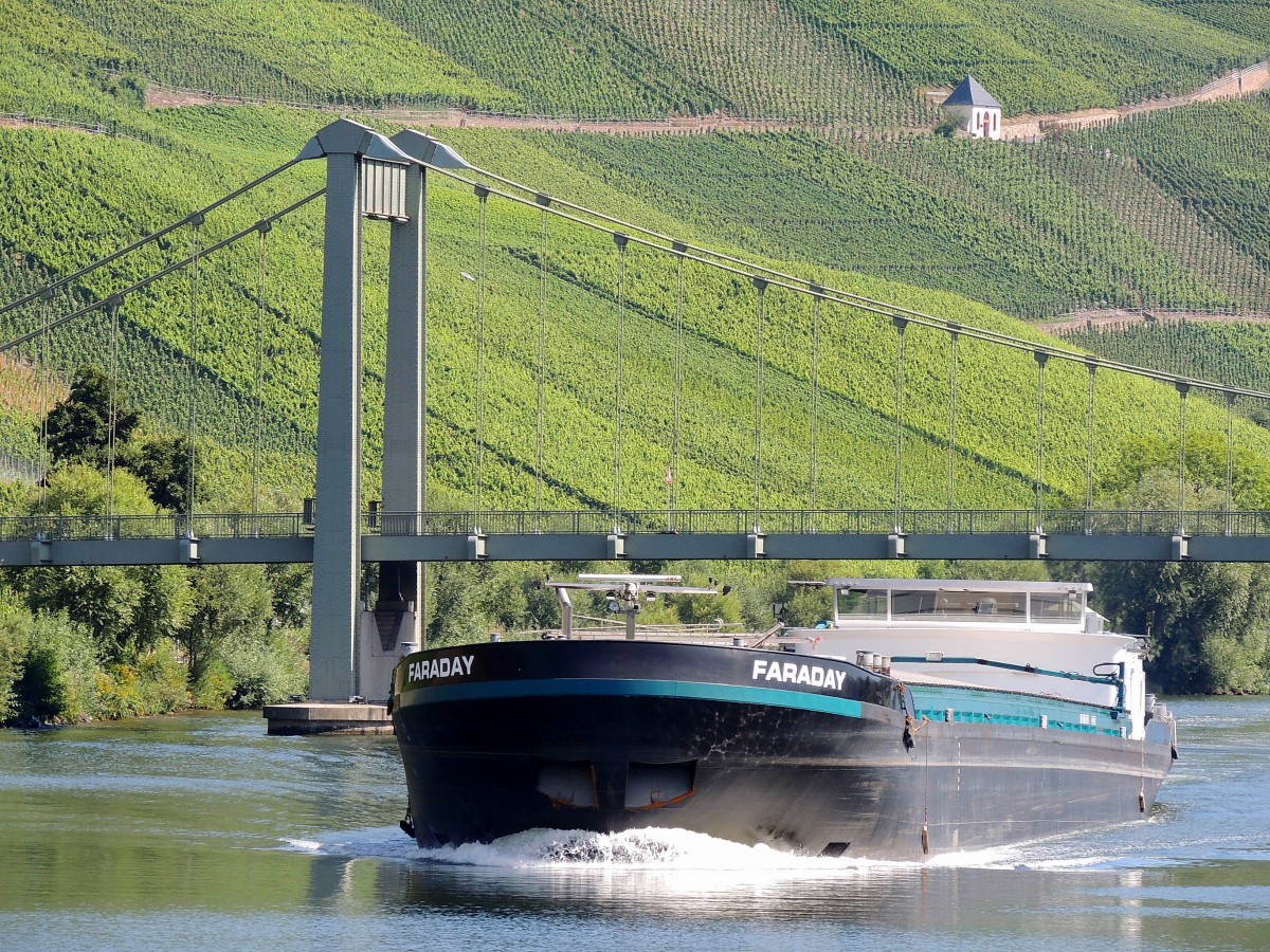 FARADYA(02325748; L=110; B=11,45mtr; 2804t; 1521PS; Bj.2002)durchfährt die Hängebrücke bei Wehlen; 120823