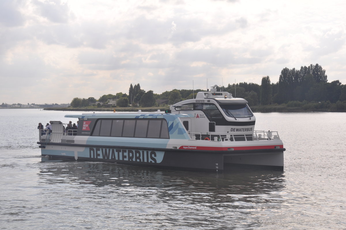 FGS Aqua Diamond  De Waterbus  aufgenommen 20.08.2017 am Schelde in Antwerpen