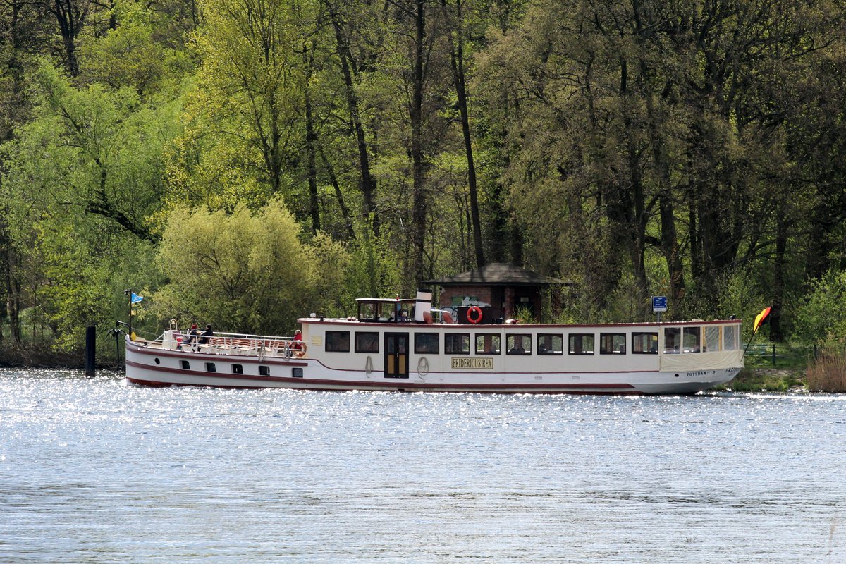 FGS Friderikus Rex (05700680 , 29,97 x 4,79m) am 19.04.2017 auf der Havel am Krughorn auf Bergfahrt.