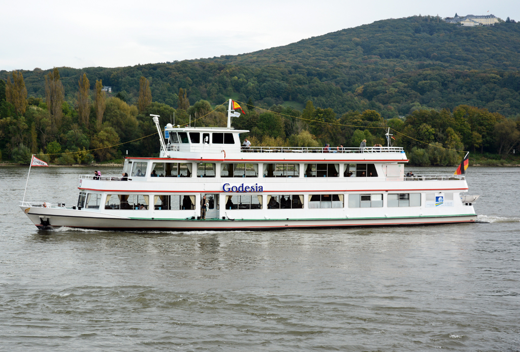 FGS  Godesia  auf dem Rhein bei Bonn-Mehlem - 12.10.2014