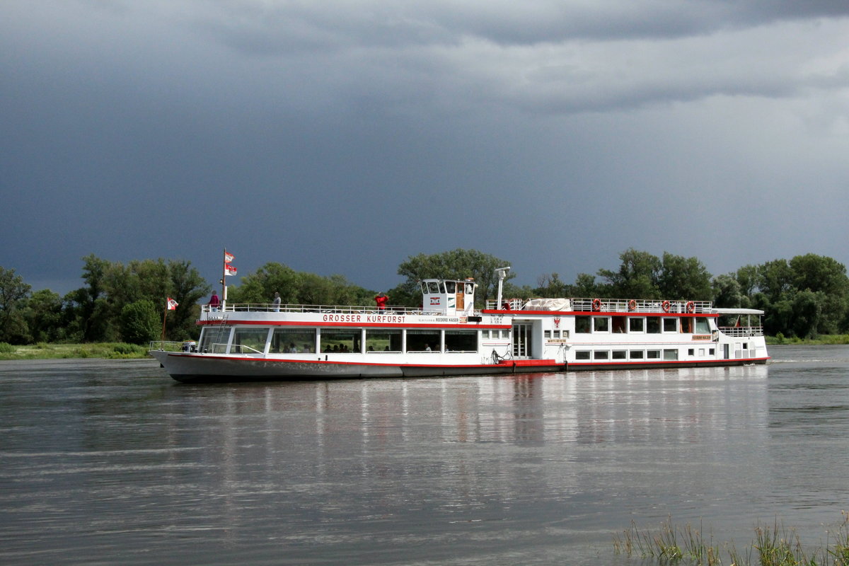 FGS  GROSSER KURFÜRST  (05600360 , 51,08 x 8,20m) am 06.07.2020 auf Elbe-Talfahrt bei Storkau.