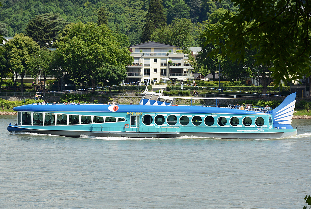 FGS  MobyDick  am Rhein in Königswinter - 31.05.2014