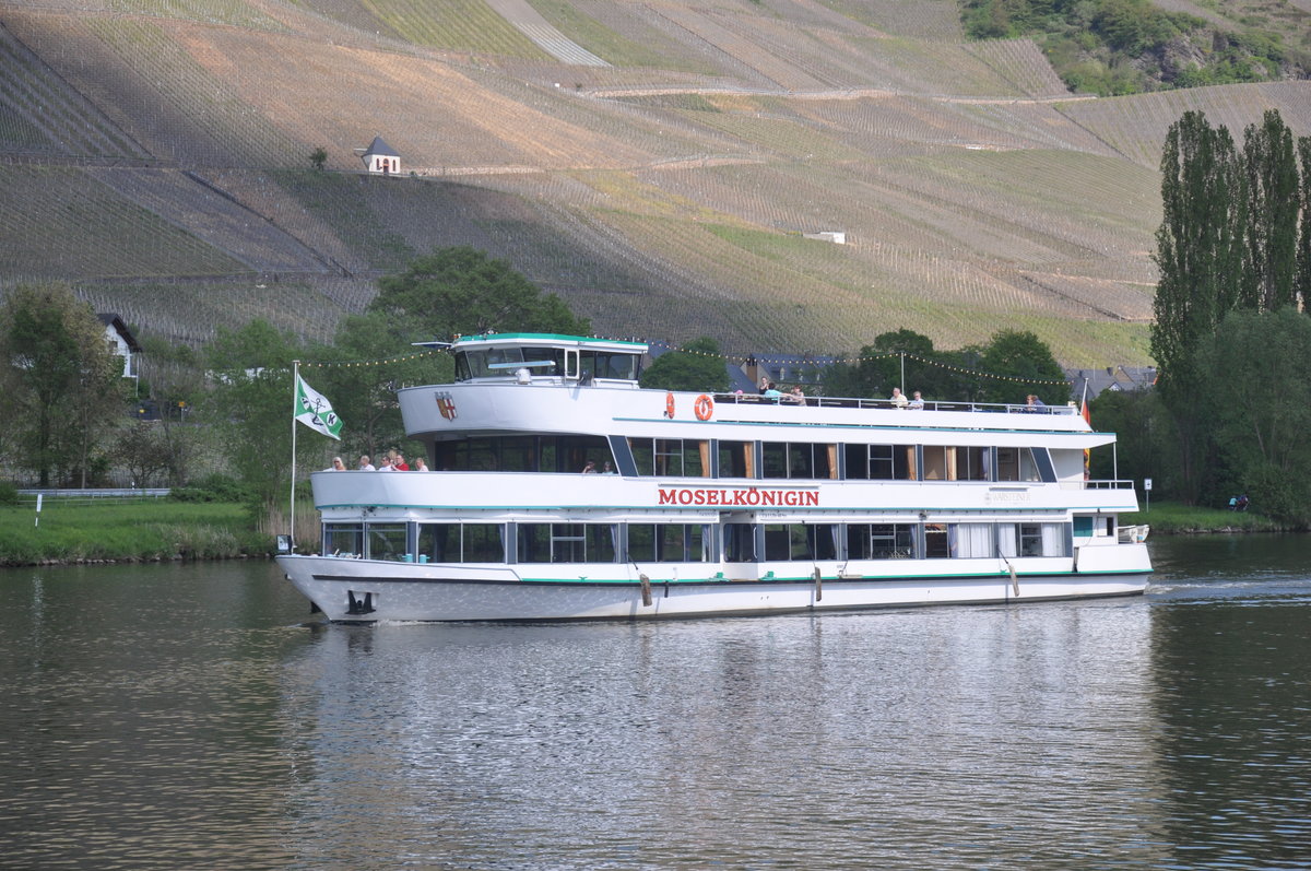 FGS Moselkönigin aufgenommen 07.05.2016 an der Mosel 