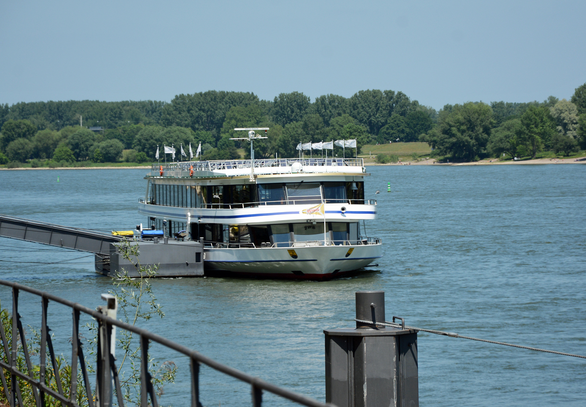 FGS  Rheinprinzessin  am Bonner Rheinufer - 04.06.2015